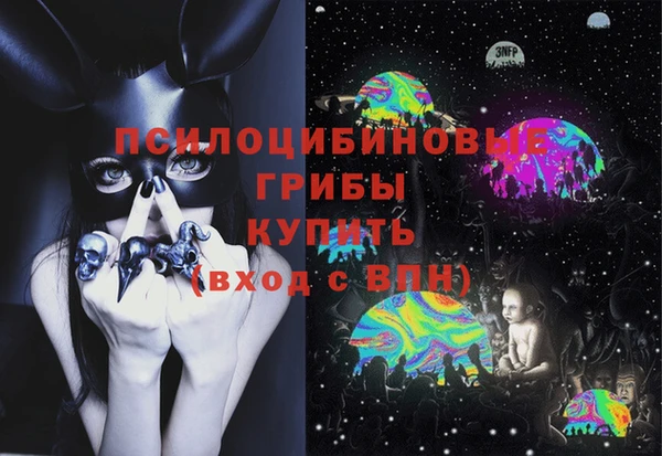 спайс Вяземский
