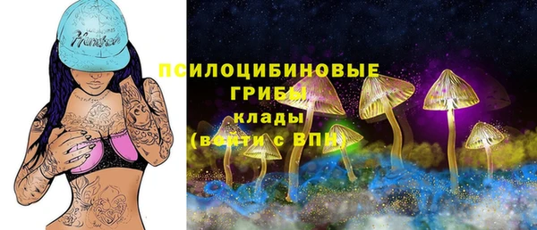 spice Волосово