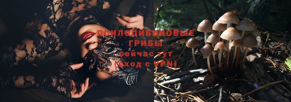 хмурый Строитель