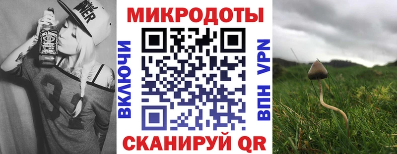 Галлюциногенные грибы MAGIC MUSHROOMS  цены наркотик  hydra вход  Злынка 